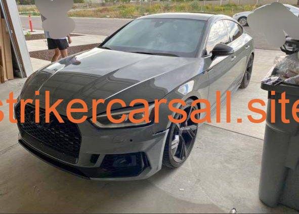 2019 Audi S5, Striker Car
