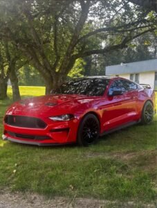 Ford Mustang / Striker car