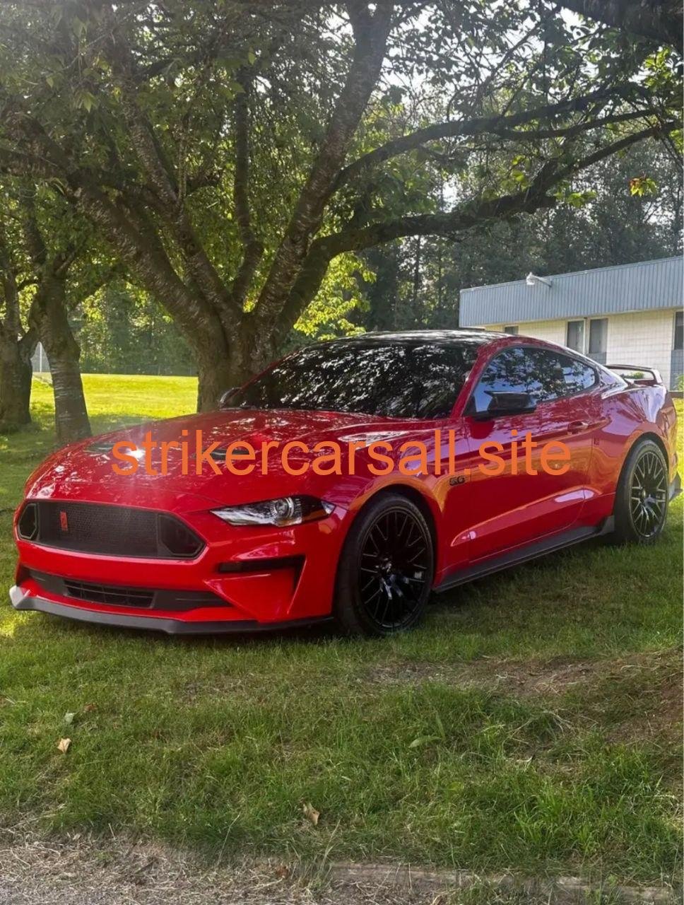 Ford Mustang / Striker car
