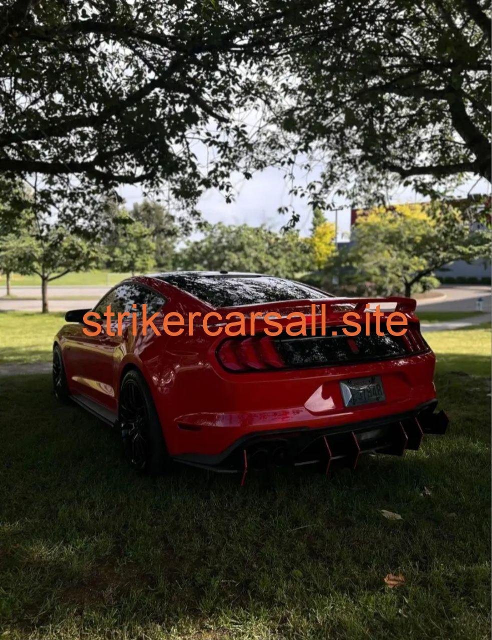 Ford Mustang / Striker car - Image 2