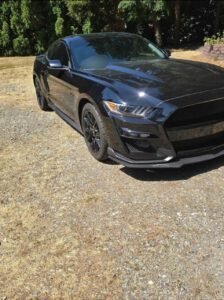2017 Ford Mustang · GT Premium Coupe 2D/ Striker car