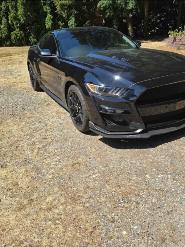 2017 Ford Mustang · GT Premium Coupe 2D/ Striker car