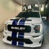 2021 Ford F150 SuperCrew Cab/ Striker car