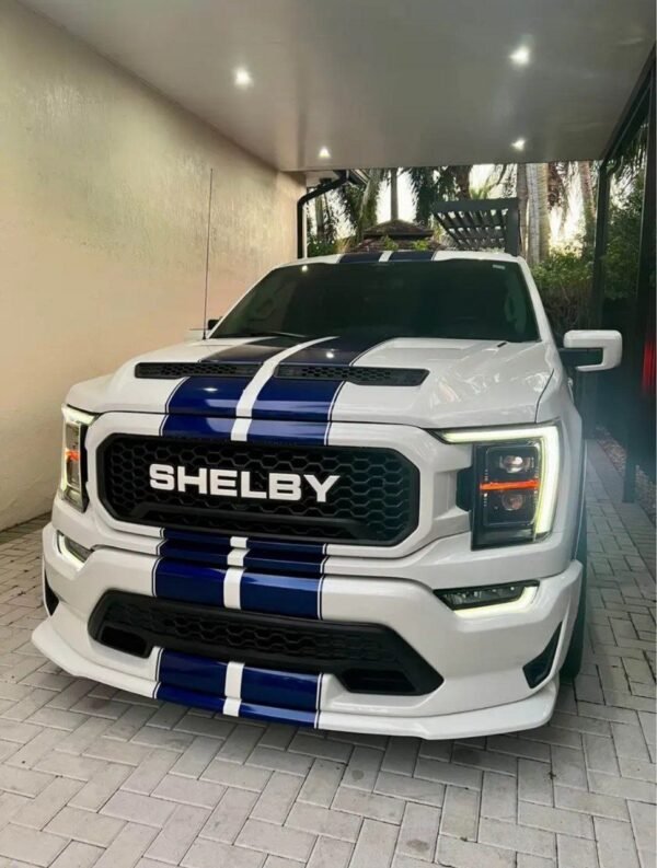 2021 Ford F150 SuperCrew Cab/ Striker car