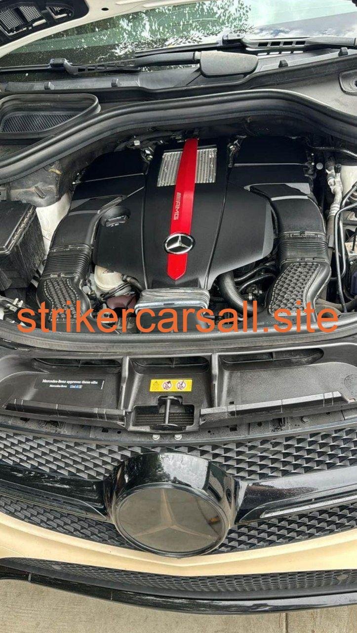 2018 Mercedes Amg Gle43/ Striker Car - Image 4