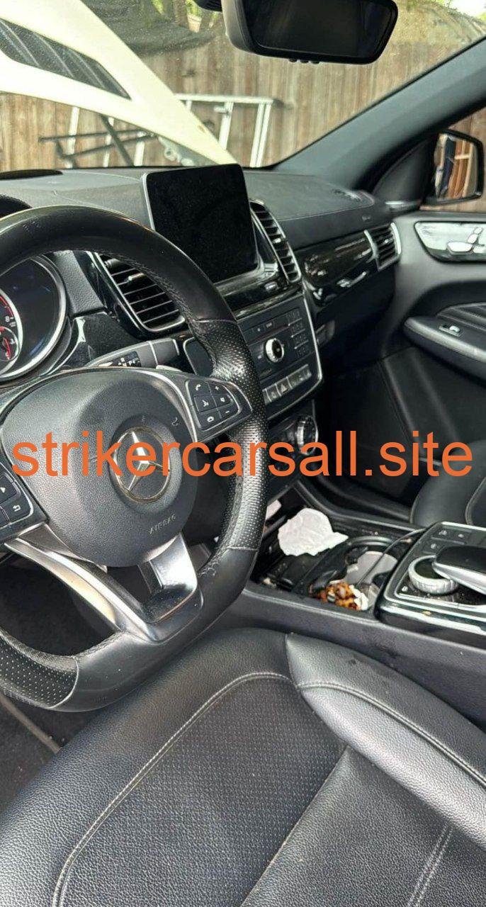 2018 Mercedes Amg Gle43/ Striker Car - Image 3