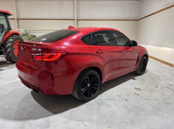 2018 BMW X6 M Sport - Image 2