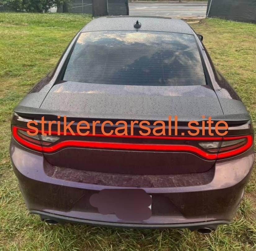 2021 Daytona Charger rt - Image 5