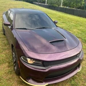 2021 Daytona Charger rt
