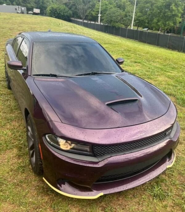 2021 Daytona Charger rt