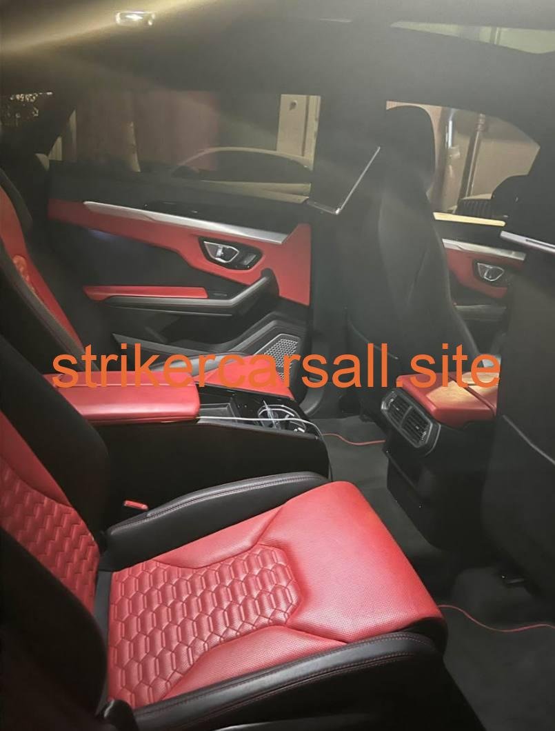 2019 Lamborghini Urus - Image 4