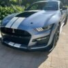 2022 GT500 - Image 2