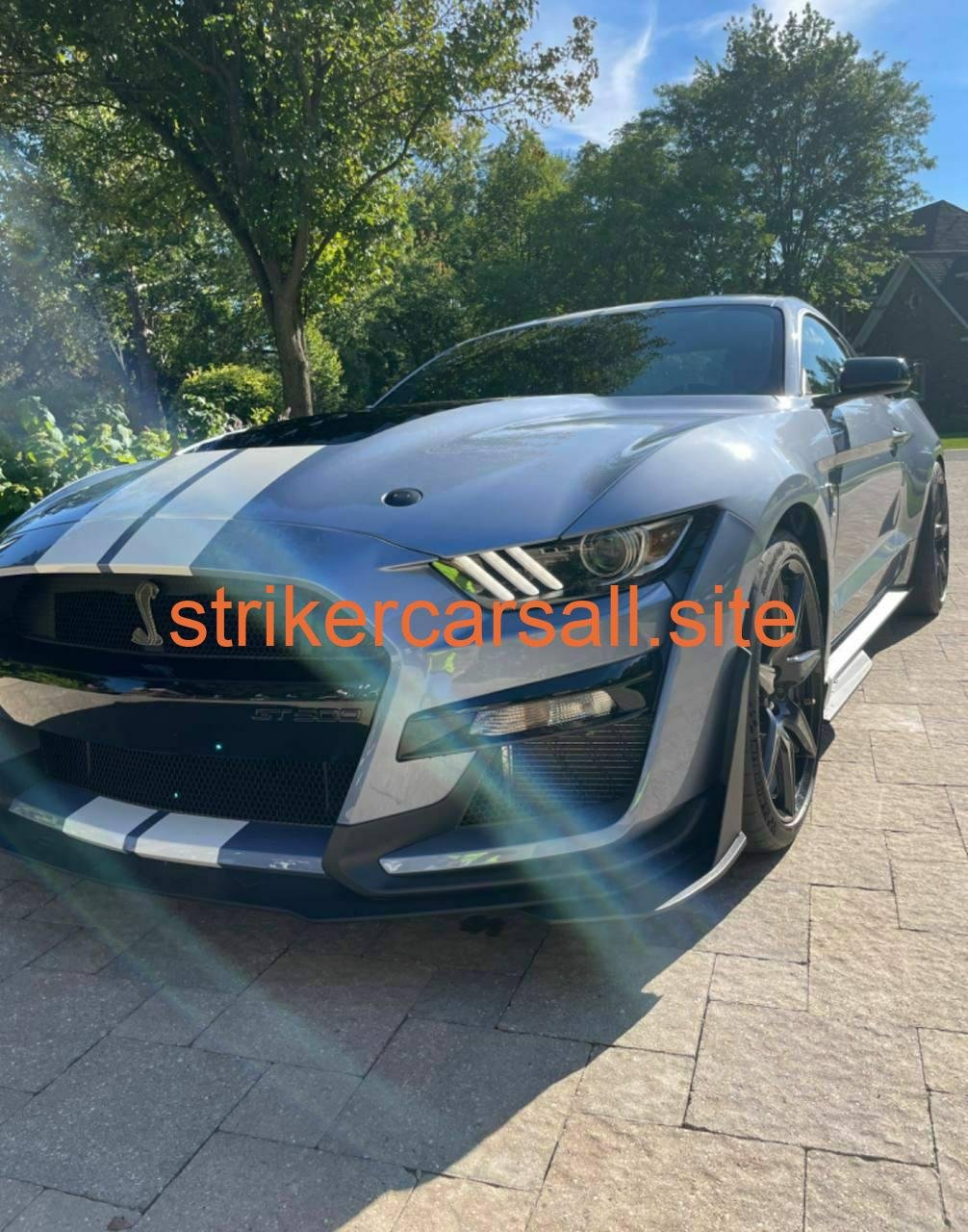 2022 GT500