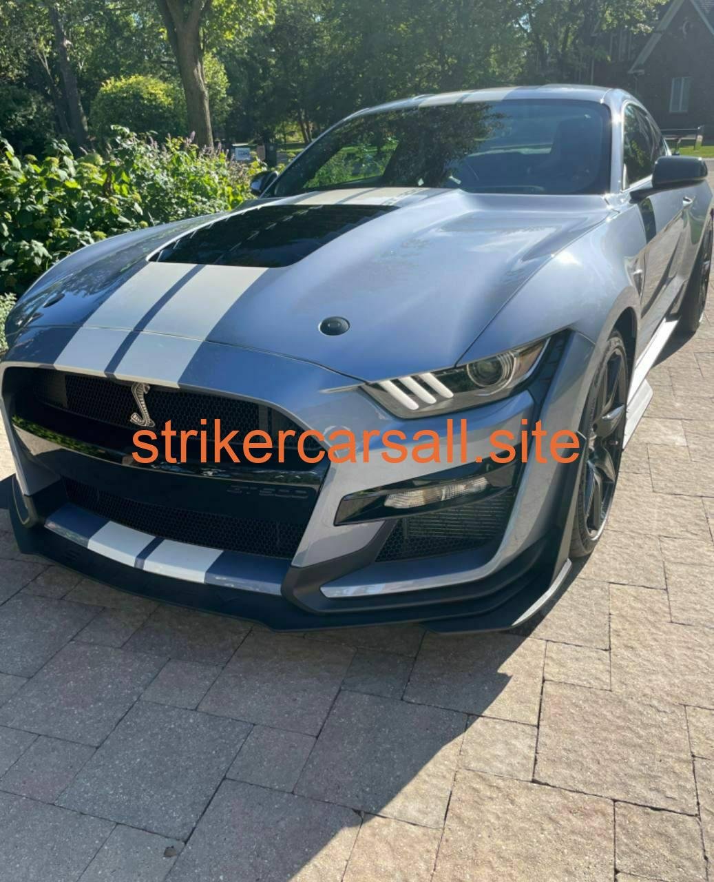 2022 GT500