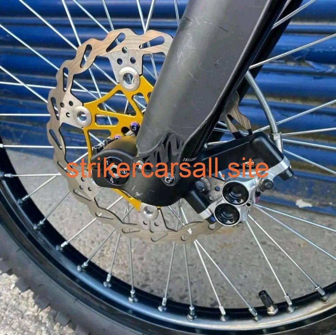 SUR-RON 1000 miles, 60kph , Ezra charger , battery health 15 hours If Interested - Image 7