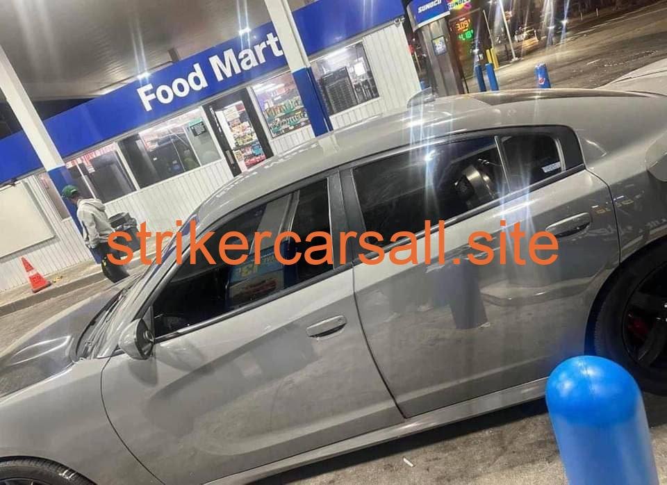 16 cat slim body🔥☄️