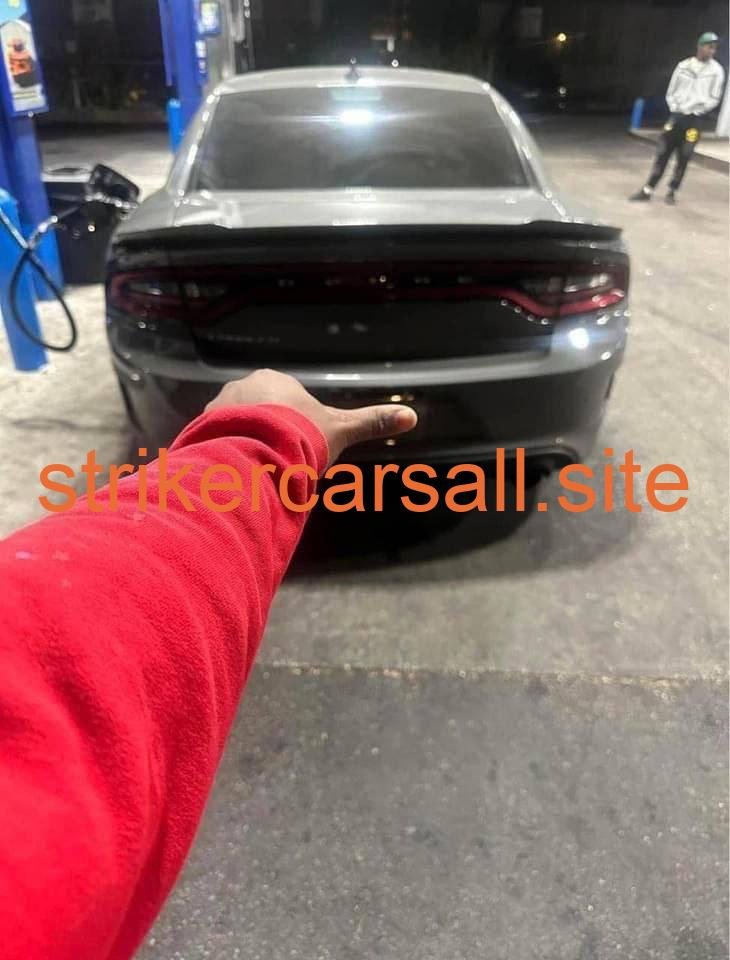 16 cat slim body🔥☄️ - Image 4