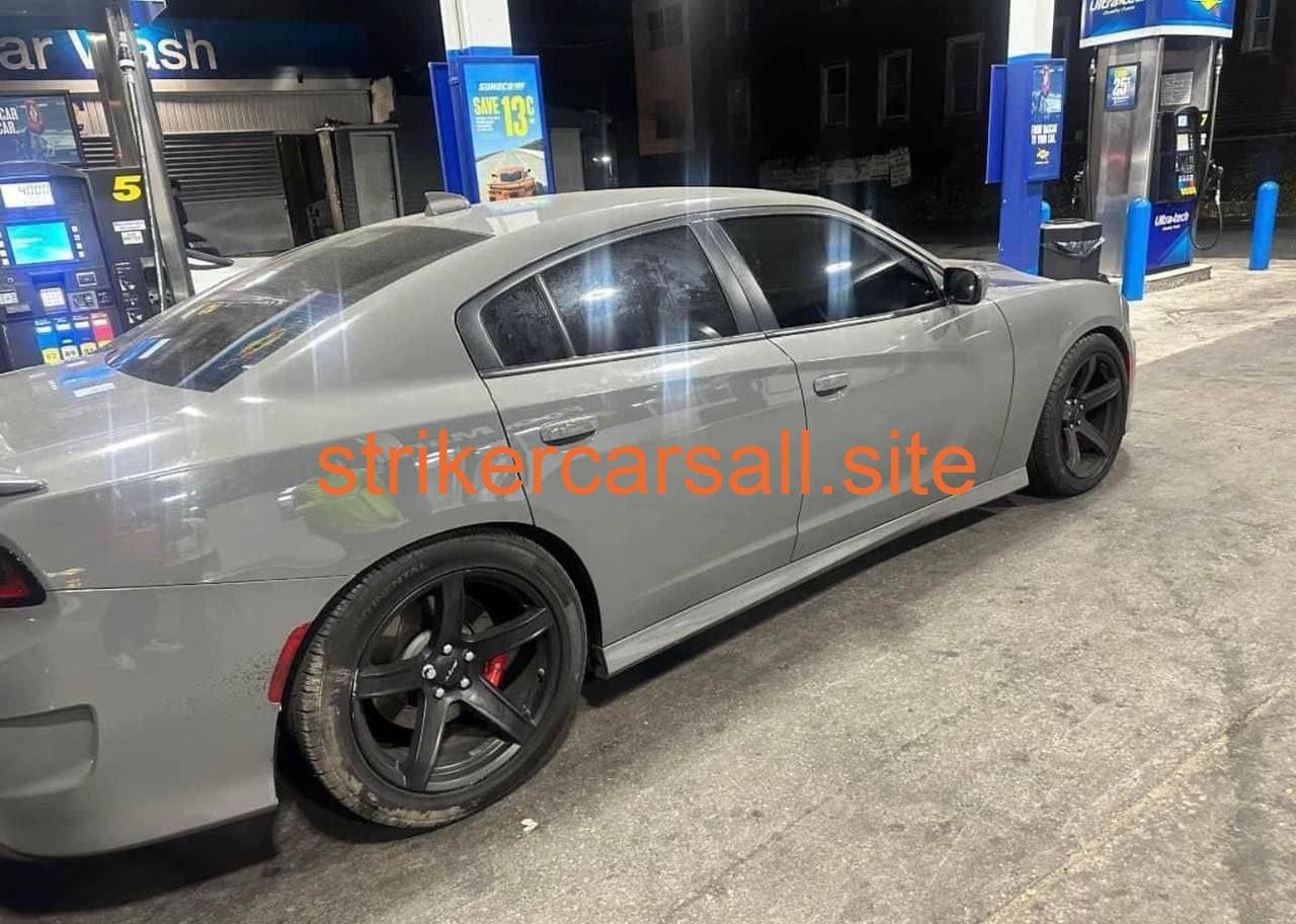 16 cat slim body🔥☄️ - Image 5