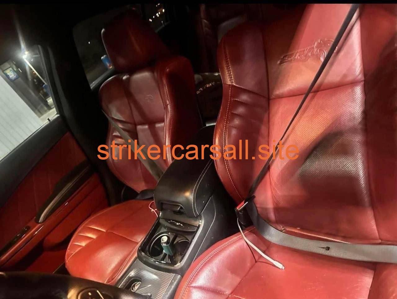 16 cat slim body - Image 6