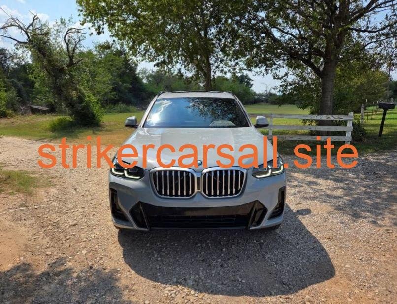 2022 BMW X3