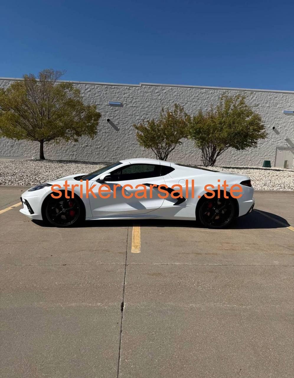 2020 stingray - Image 3