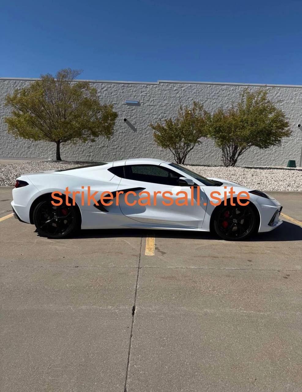 2020 stingray - Image 6