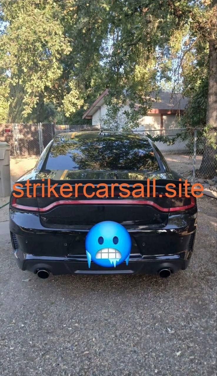 2022 widebody scatpack - Image 7