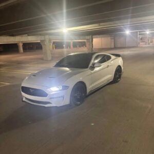 2019 Ford Mustang
