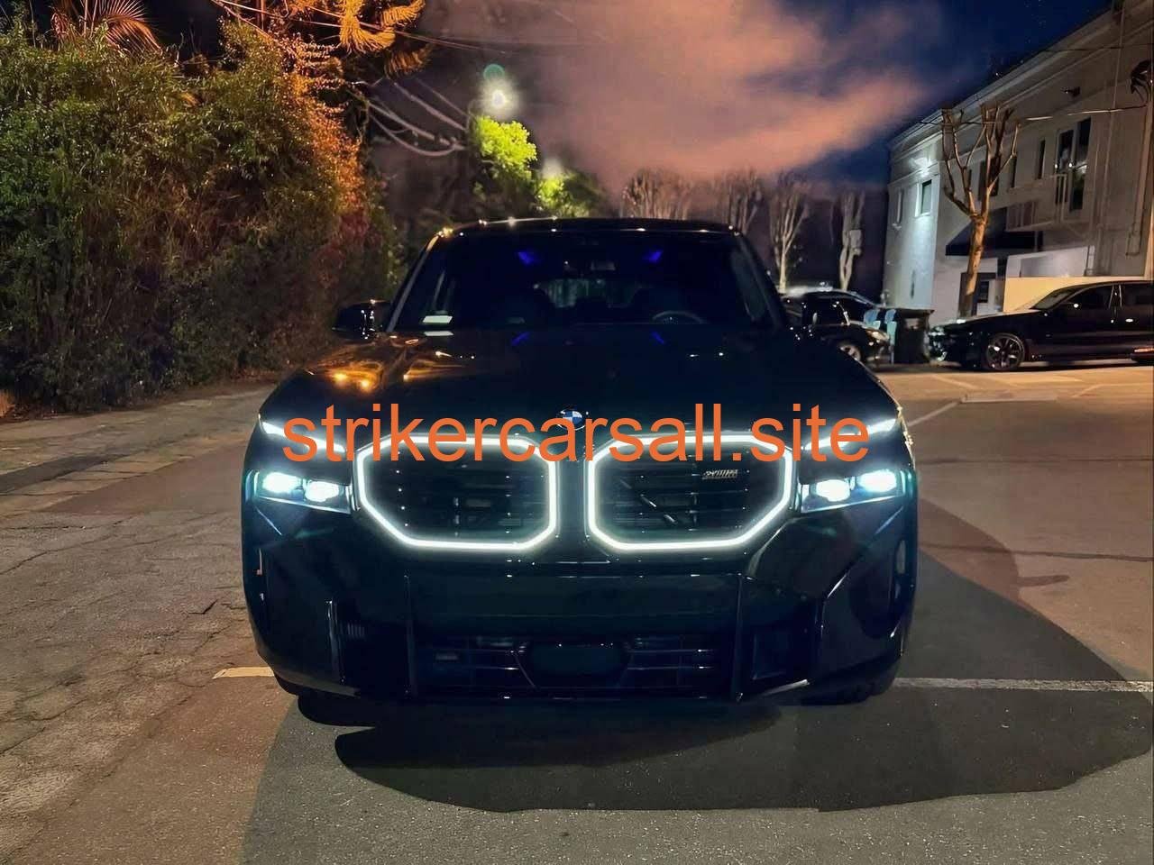 2025 bmw XM - Image 3