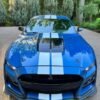 2021 GT500 - Image 3