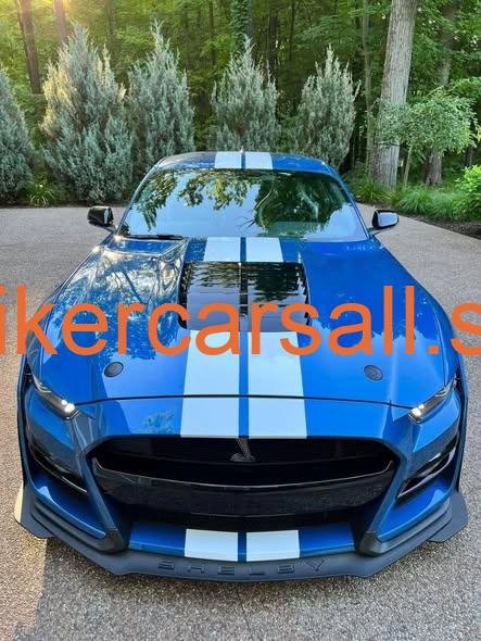 2021 GT500 - Image 3