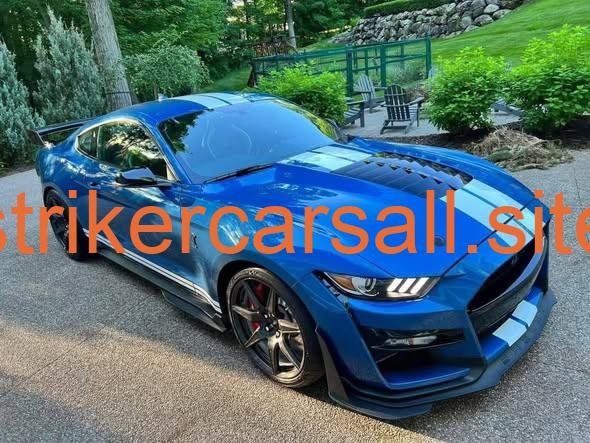 The Thrill of the Drive: Performance Cars Available Now, No Questions Asked